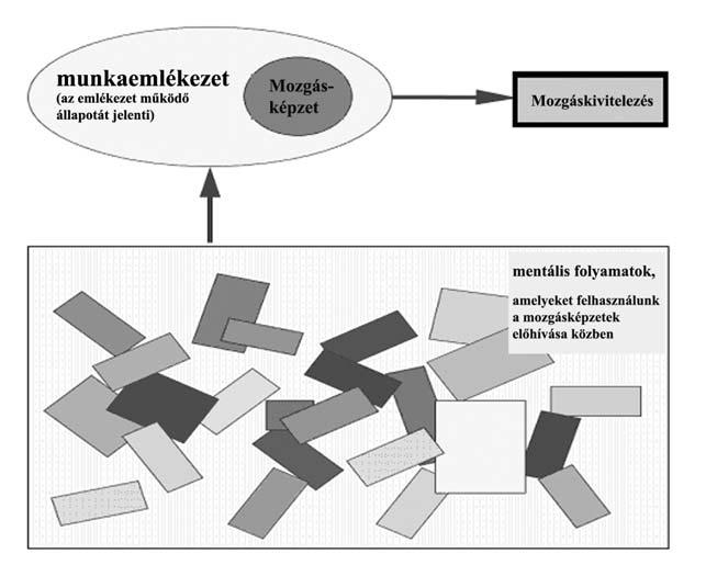 A legnagyobb problémát mégis az jelenti, hogy a táncos mozgásfoglalkozásokat nem ismerik igazán a növendékek sem. Általában nincsenek tisztában az elvárásokkal és saját határaikkal sem.
