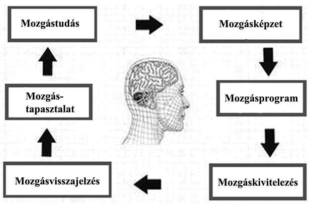 A tánc mint esztétikát teremtő formanyelv a kompetenciák tükrében A tánc nem csupán egy kifejezés, hanem önálló nyelv is, amelyben nem kellenek szavak egymás megértéséhez.