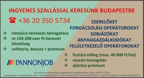 Jelentkezni telefonszámmal, részletes szakmai önéletrajzzal a következő e-mail címen lehet: lordokthaz@gmail. com KŐMŰVEST és segédmunkást keresek térburkolat építéshez Kecskemétről.