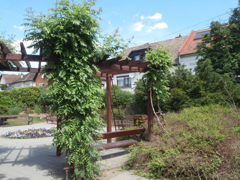 szakaszában.