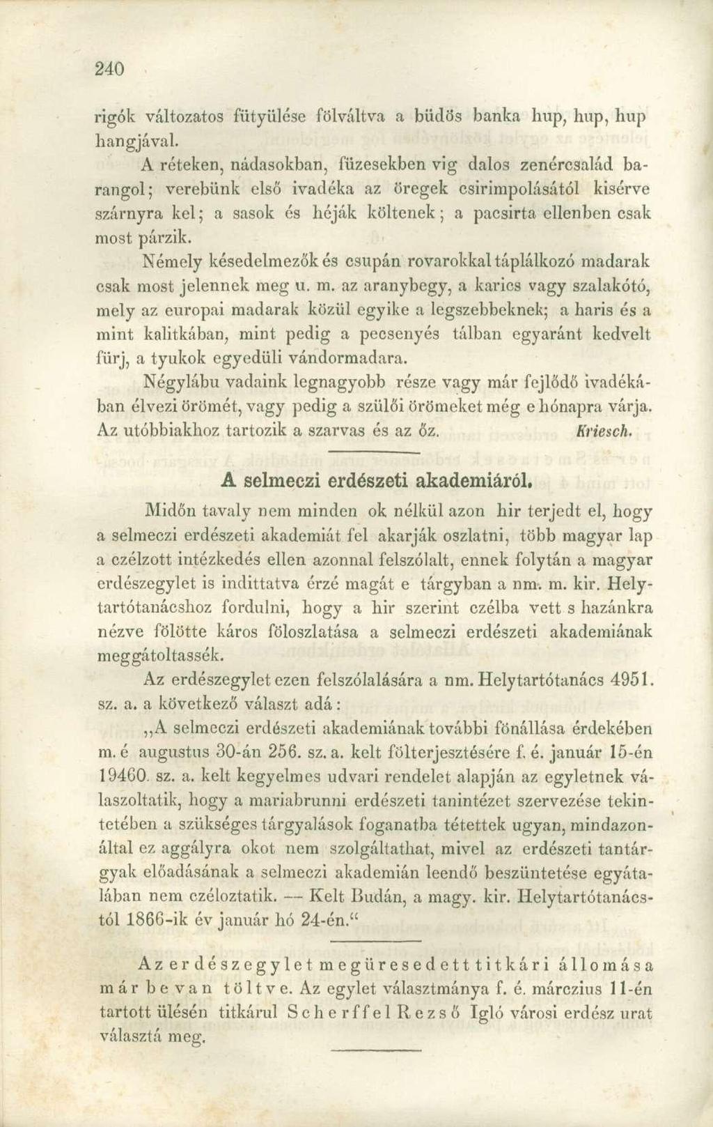 rigók változatos fütyülése fölváltva a büdös banka hup, hup, hup hangjával.
