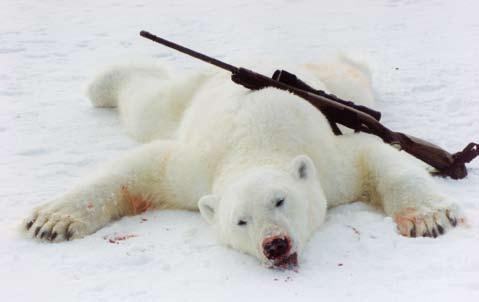 (a szerzõ felvétele) nem keresztezünk. Lékeket is látunk. Kerek kis lyukak, ezeken jönnek fel a fókák levegőzni. Az inuitok azt mondják, a fóka az orrával olvasztja keresztül a méteres jeget.