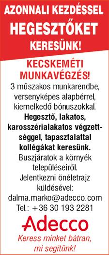 Autóipari területre azonnali kezdéssel 3 műszakos munkavégzésre Komissiós munkatársak jelentkezését várjuk