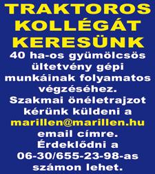 autóalkatrészek összegyűjtése előre megadott lista alapján felépítendő autóknak megfelelően különböző