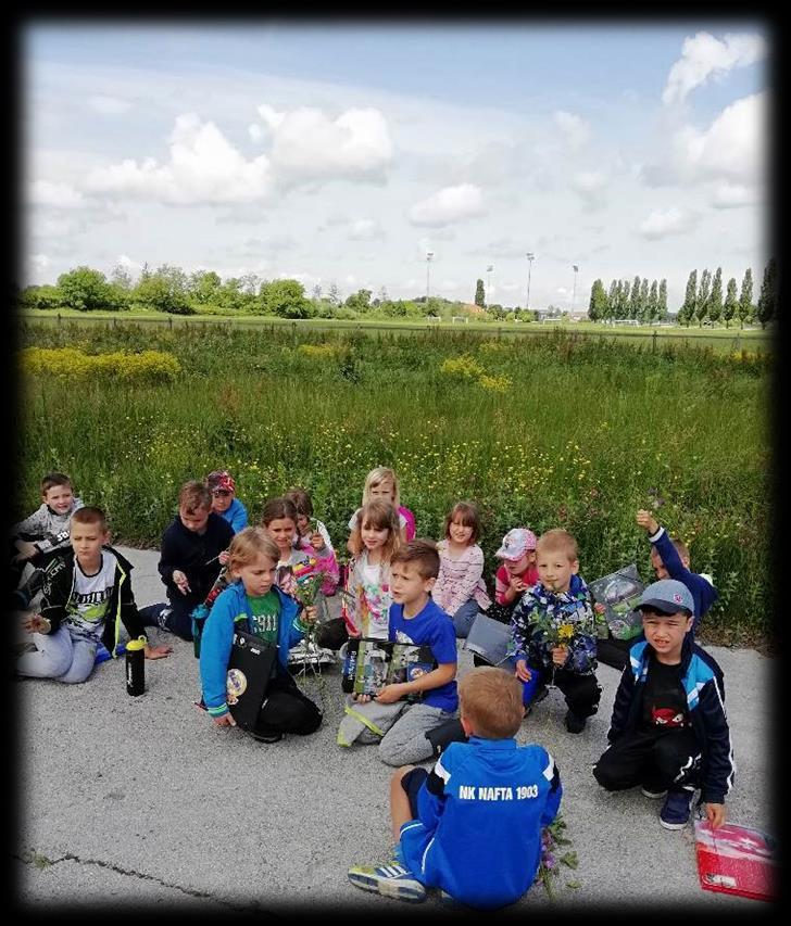 Aisha Vida: Na zelenem travniku Travnik že cveti, čebelice lovi, Lalalalalala, čebelice lovi.