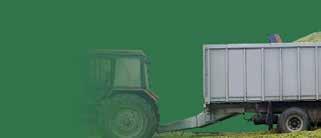 Jó minőségű tömegtakarmány egész évben! www.timacagro.