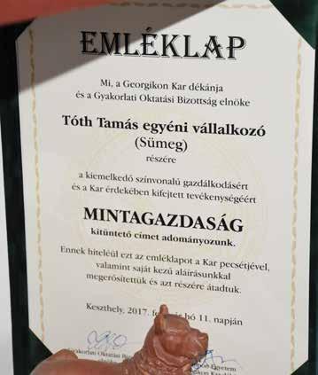 Különböző reklámfelületeken megjelenünk, de a multikkal nem igazán tudunk szót érteni. A kereskedelem egy külön szakma, ezért mi kivonultunk a direkt értékesítésből.