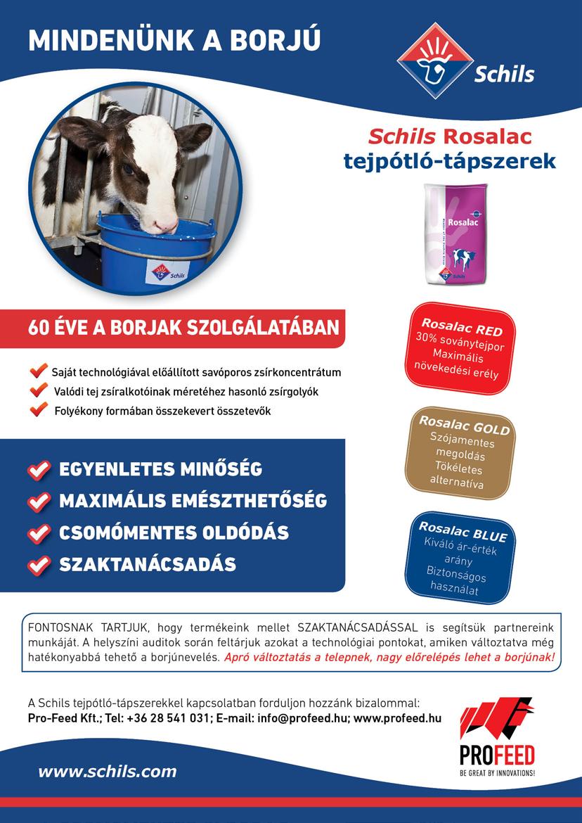 HAZAI SZERZŐINK