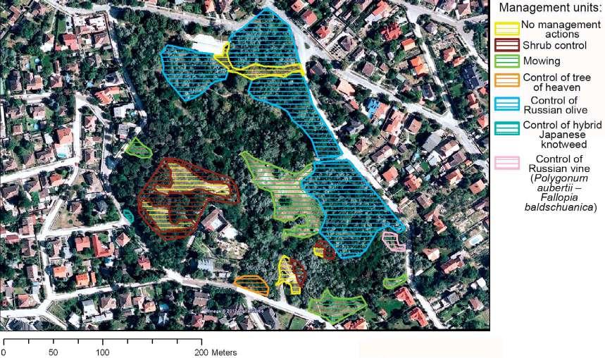 Az élőhely kímélése érdekében alapvetően fontosnak tartottuk a vegetációs időszakon kívüli beavatkozást.