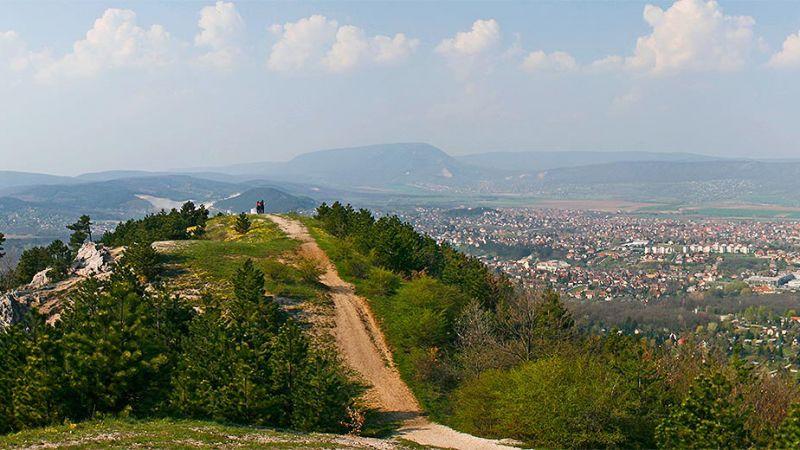 A verseny helyszíne Nagykovácsi, Tisza kastély Nagykovácsi nagyközség Pest megyében, a budai hegységben található. Budapest II. és XII.