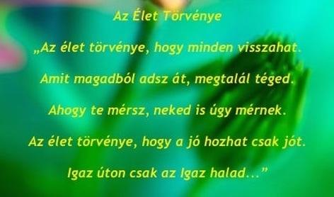 hogy siettedben észrevetted volna bánatát? Vesztettél el jó barátságot visszahozhatatlanul, csak azért, mert nem volt rá időd hogy felhívd, és azt mond Szervusz? Légy szíves lassítsál.