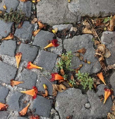 és alkotás Oktatási módszer