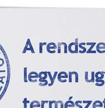Mikor a nagyi meghal, és a parkot bezárják, a szomorú kisfi ú számára a régi emlékek, a határtalan fantázia jelentenek vigaszt.