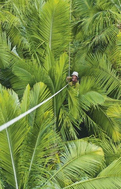 .. Makay, az utolsó Édenkert A madagaszkári Makay-masszívum a sziget egyik utolsó felfedezetlen területe: több száz kibogozhatatlan kanyon szövedéke, mely évmilliók óta egyedülálló biológiai