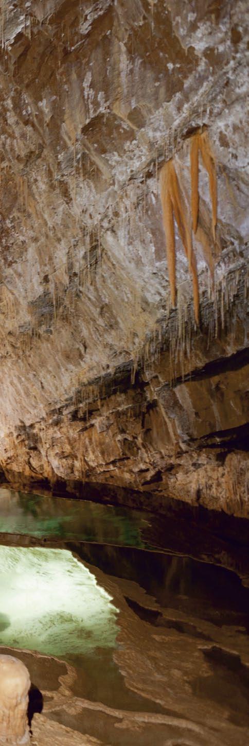 Fernand Petzl és barátai több mint 50 évvel ezelőtt kezdték
