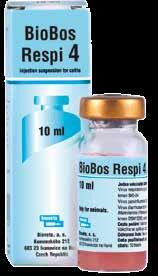 HASZONÁLLAT Új termékcsalád biobos respi 2 intranasal BORJAK AKTÍV IMMUNIZÁLÁSA, a vírusürítés mennyiségének csökkentés, időtartamának rövidítése Biobos Respi 2 vakcina: Hatóanyag: élő, attenuált