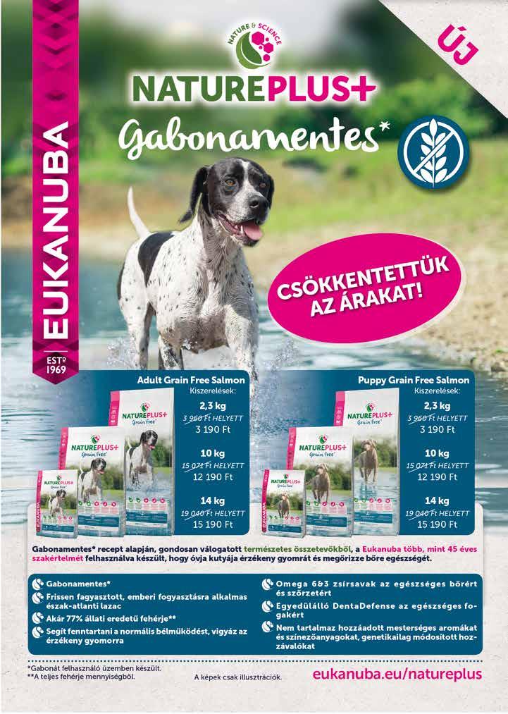 TÁRSÁLLAT 24 Vet Hírek 2018.