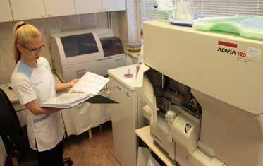 egyetemre, hogy így fog alakulni a pályád? A végzés után igazából még nem tudtam határozott döntést hozni, hogy klinikus állatorvos leszek vagy oktató-kutató.