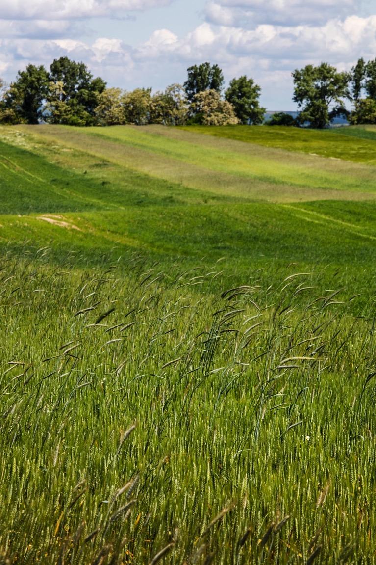 KÜLTERÜLET Csomád beépítésre nem szánt területei elsősorban mezőgazdasági, erdőgazdálkodási és sport-/rekreációs célú területek.