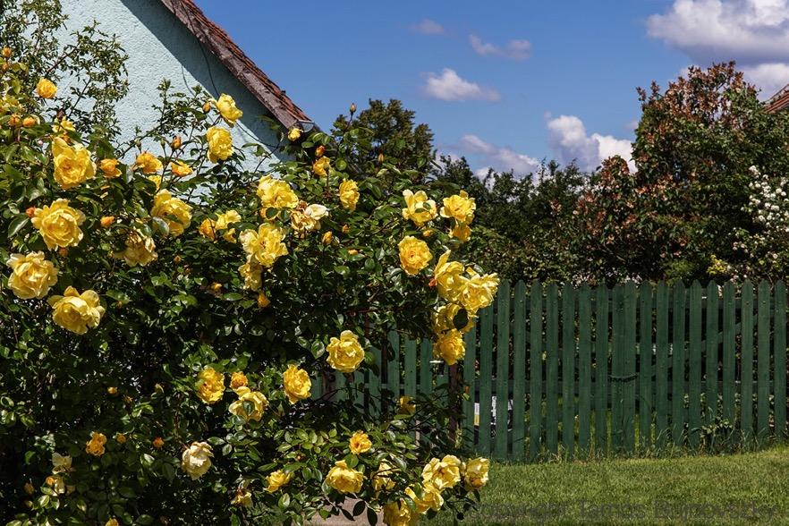 alkalmazott anyagokkal, színekkel: így