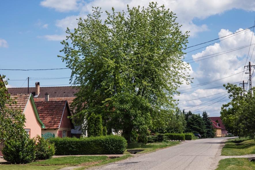 Az utcakép a Kossuth Lajos úton rendezett, követhető.