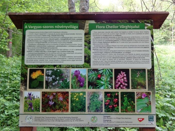 A Vargyas-szoros kétségkívül Erdély és ezen belül a Székelyföld egyik legszebb és legérdekesebb természeti látnivalója,