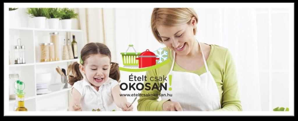 Projekt utóélete, újabb pályázat?