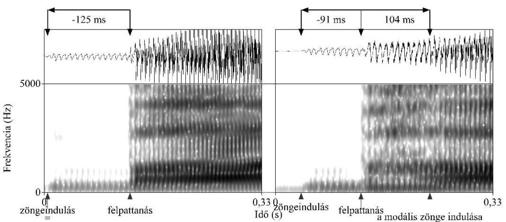 A zöngekezdési időről 65 nem elégséges a fonémacsoportok elkülönítésére. A 4. ábra a hindi /b/ és /b ɦ / (zöngés aspirált) fonémák tipikus megvalósulásait mutatja be.
