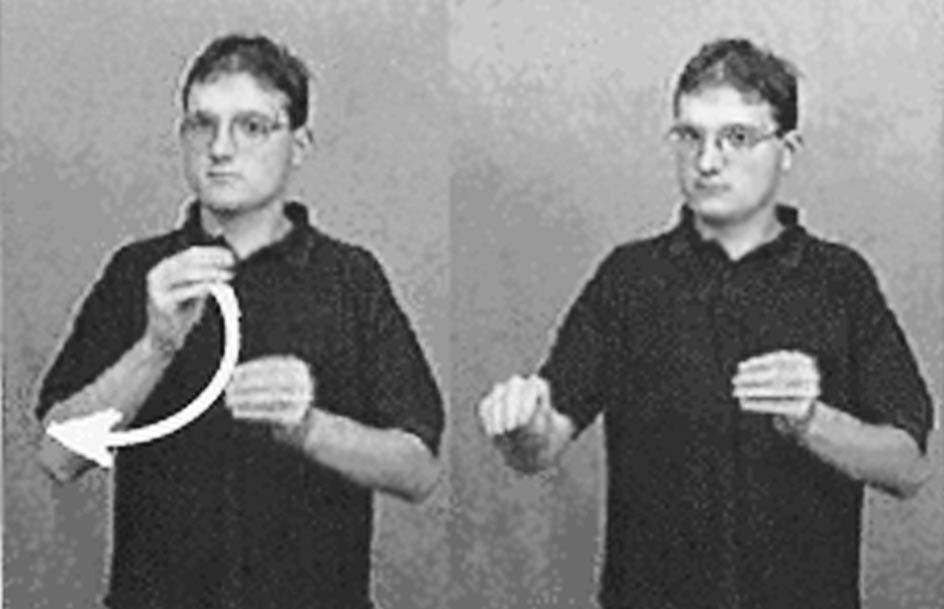 Az agy bizonyos területén károsodott betegek némelyike nem volt képes hozzáférni a cselekvést jelölô igékhez, de a dolgokat, tárgyakat jelölô szavak elôhívása sikeres volt, míg a betegek egy másik