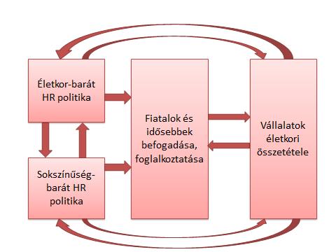 1. ábra: A kutatás konceptuális modellje Az életkor-barát és sokszínűség-barát HR politika operacionalizálására két indexet alkottunk. Az egyik a Multigenerációs Index, a másik a Sokszínűségi Index.