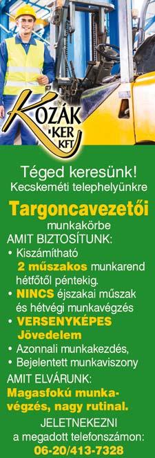 A szervező gárda 2016-ban vette át a rendezést. Jelentősen megnőtt azóta a fesztivál látogatottsága, hiszen abban az évben mintegy 40 ezren, majd 2017-ben 50 ezren tekintették meg a programokat.