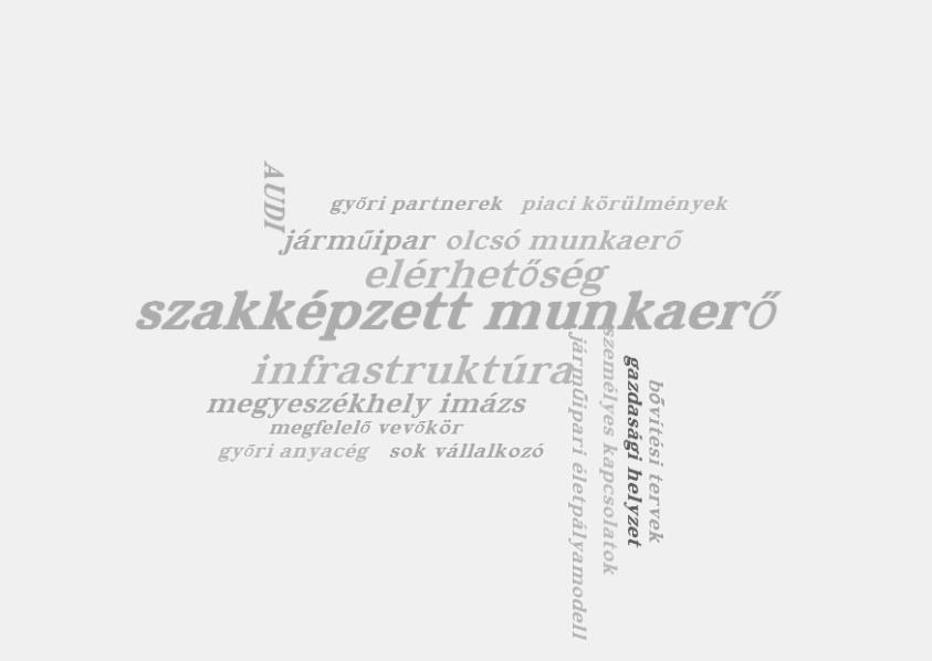 csoport, a befektetői réteg számos járműipart képviselő tagja jelen volt, így 46 kérdőívet sikerült személyesen lekérdeznem (Jakab Konczosné 2015a, 2016b).
