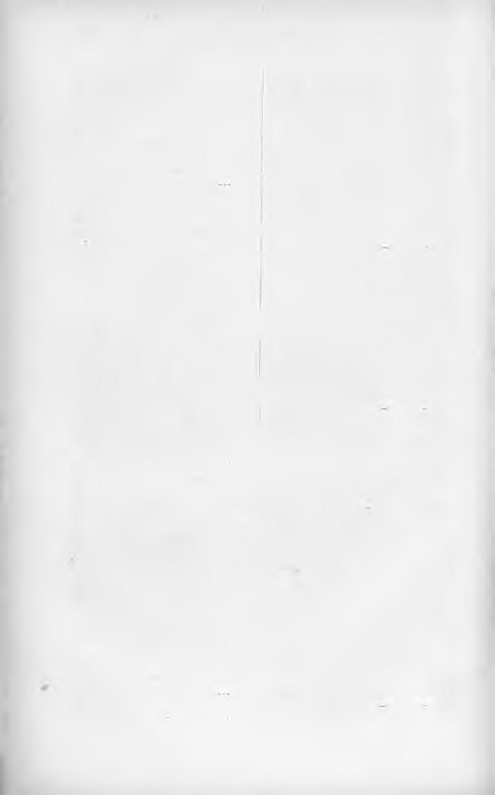 XL1I TUDOMÁNYOS SZAKMUTATÓ. Arany füst. Medgyes L. _ 91 j Esti dal, Az. Barklay L. F. 7 Asszonyember. Ács }í.._... 1 Fabiola. Wiseman M....... 151 Asszonyi dolgokról. Prévost M.