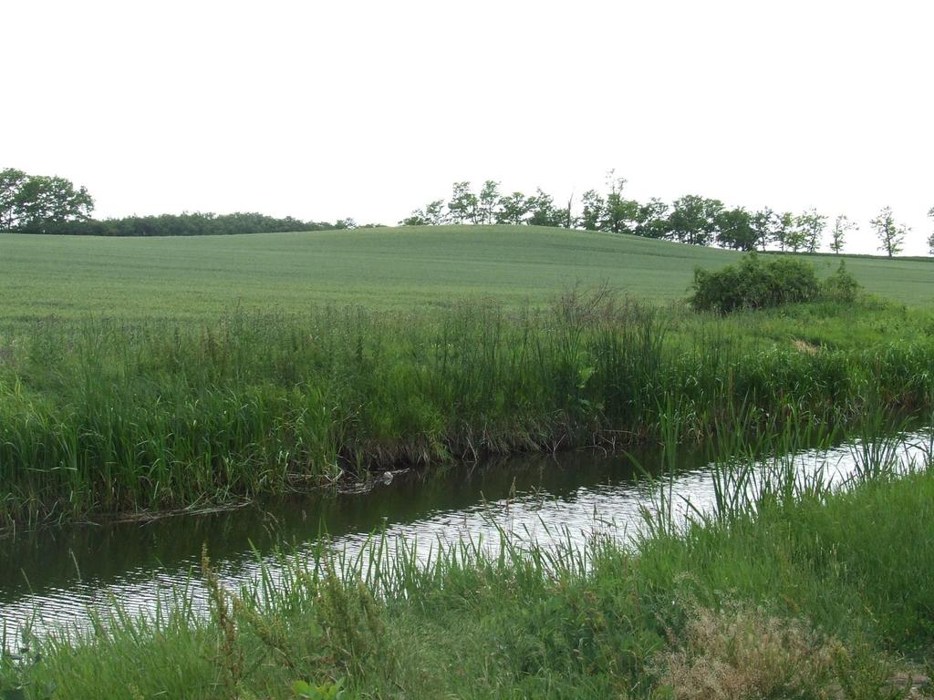 A 2011-ben művelt 1062-es Vadaszán-domb A