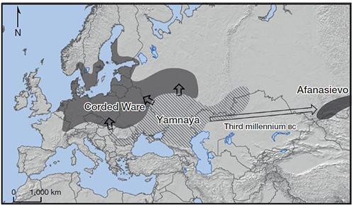 a mai országhatárnál megszakadnak (PÉTRE 1977). A magyarországi bronzkori kutatás által használt kronológia szerint ez a kora bronzkor I III. fázisa.