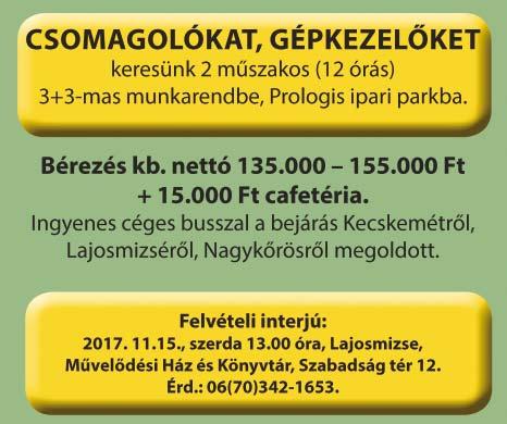 Szakmai gyakorlat előnyt jelent, de kezdő homokfúvósok jelentkezését is várjuk!