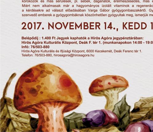 A B szakaszon 1150 méter hoszszú, kétirányú kerékpárút az 54. sz. főút mentén a belterület határától a Zsámbi Trans Kft.