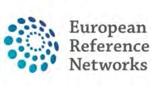 Nemzetközi fejlemények 5. 2017 elejére megalakul a 24 Európai Referencia Hálózat (ERN) 900 eü szolgáltató, 300 kórház, 26 tagállamból https://ec.europa.