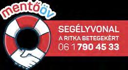 Hazai eredmények 2. Létrejött a Nemzeti Kapcsolattartó Pont (http://www.eubetegjog.