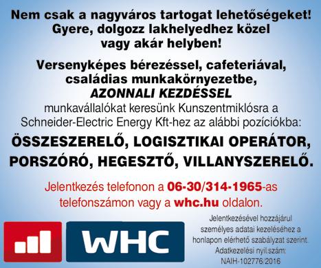 MIKROHULLÁMÚ