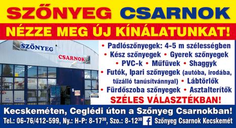 8 HÍRÖS