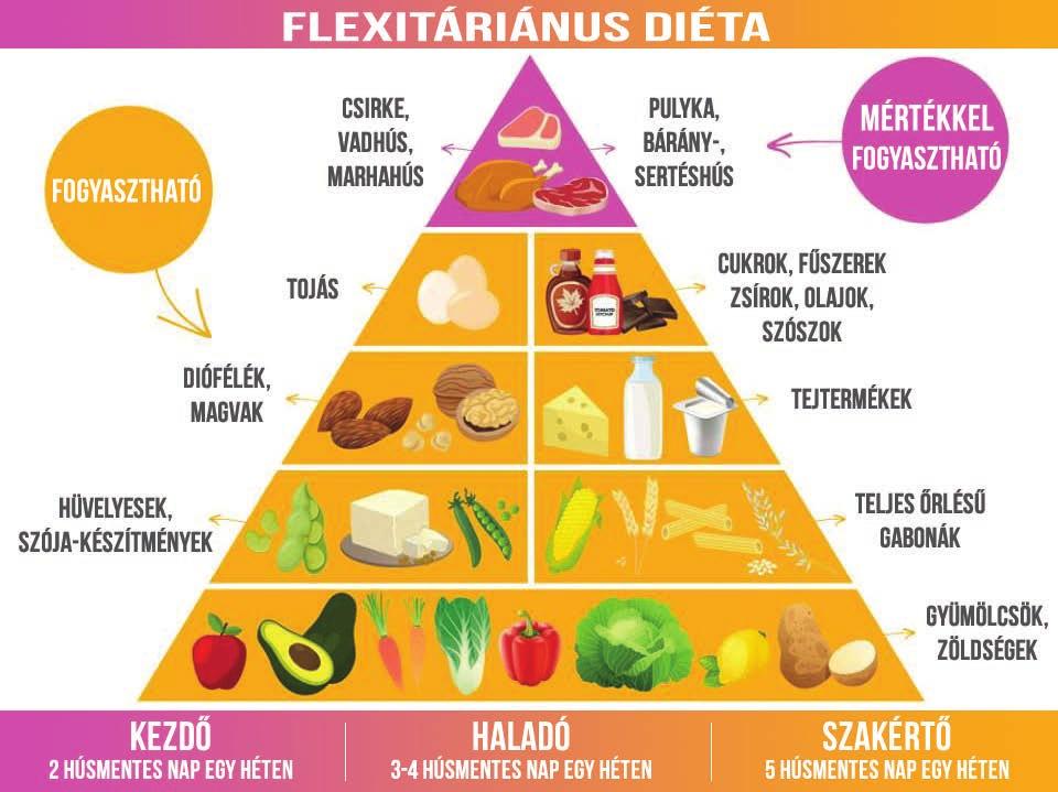 A VEGETÁRIÁNUS ÉS FÉLIG VEGETÁRIÁNUS FLEXITÁRIÁNUS ÉTRENDEK ELŐNYEI A 2018 májusában Bécsben megrendezett Európai Obezitas Kongresszuson több előadás is foglalkozott a vegetáriánus vagy részben