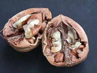 Víz 4,07 g Energia 654 kcal Energia 2738 kj Protein 15,23 g Olaj, zsír 65,21 g Szénhidrát 13,71 g Ásványi anyag 1,78 g A dióbél fehérjéinek részletes
