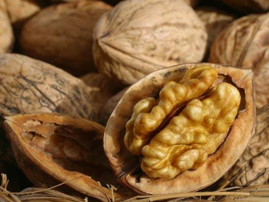 Addig is elmondom előzetesen, hogy az általam összegyűjtött diós receptek mind külföldiek, tudomásom szerint magyarul még nem adta közre senki.