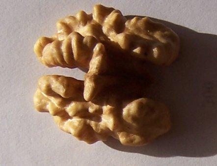 Cink 3,09 mg Vas 2,91 mg Nátrium 2,0 mg Réz 1,586 mg Vitaminok 100 g dióbélben: C-vitamin 1,3 mg Thiamin 0,341 mg Riboflavin 0,150 mg Niacin 1,987 mg Pantoténsav 0,570 mg B6-vitamin 0,537 mg Fólsav