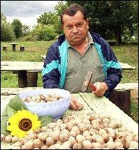 A dióhéj nem száll szét.