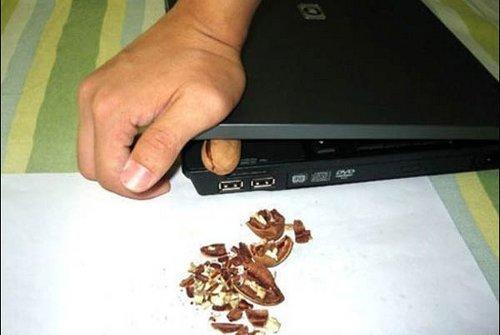Hogy is van ez? Beletört? Dehogy! Betört a törésbe. Nem beletörődött! A dió törődött bele. Mibe is? A laptopba. Hihetetlen, mire képesek ma már a laptopok!