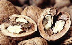 A dióbél B-vitamin tartalma az idegrendszer tápanyagának nevezhető. Nagy szerepe van az idegsejtek és a retinasejtek fejlődésében.