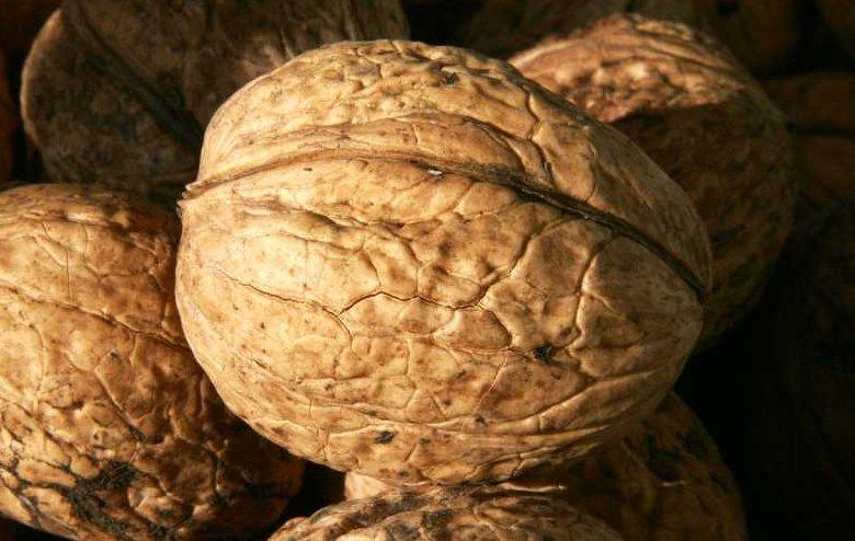 A dió nemcsak mesébe illő, hanem legendás ennivaló is. A Bakonyban ma is mesélik, hogy egy betyár, - ki volt az, aki a betyárok közül dión élt?