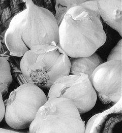 Az étrendi flavonoidok más élelmiszer-alkotókkal együtt jutnak a szervezetbe, ezért hatásukat a kísérő, ill. jelen lévő egyéb komponensekkel történő kölcsönhatások is befolyásolják.